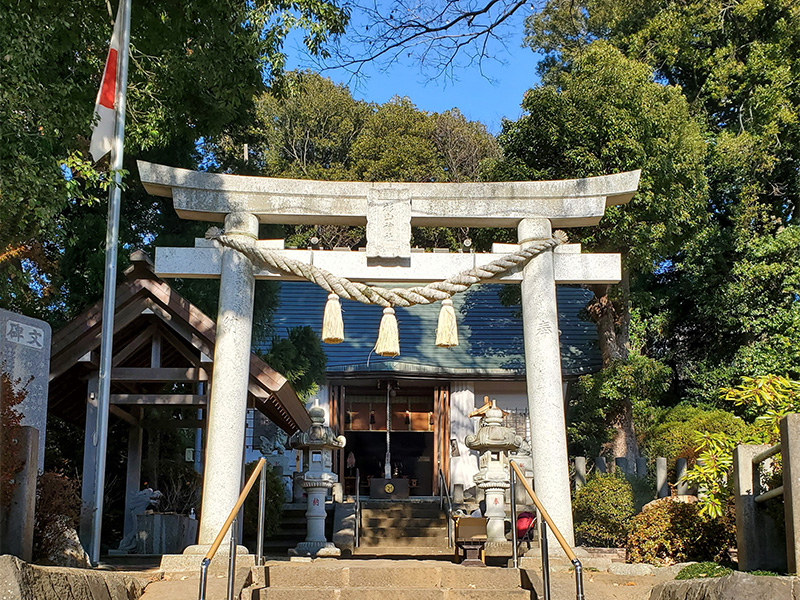 杉山神社の拝殿、鳥居、石灯籠