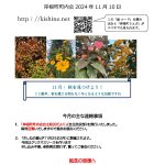 町内会だより令和6年11月