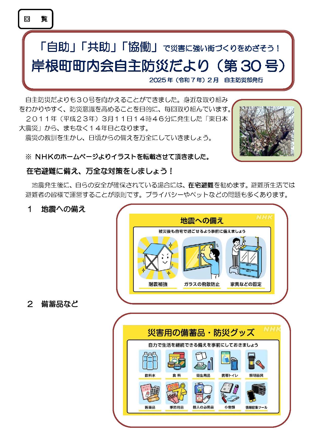 自主防災だより（第30号）