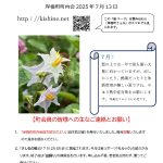 岸根町町内会だより令和７年７月