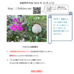 岸根町町内会だより令和7年10月